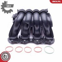 Esen SKV 49SKV046 Saugrohrmodul FüR Citroen FüR Peugeot
