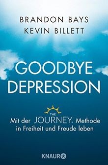 Goodbye Depression: Mit der The JOURNEY   Methode in Fre... | Buch | Zustand gut