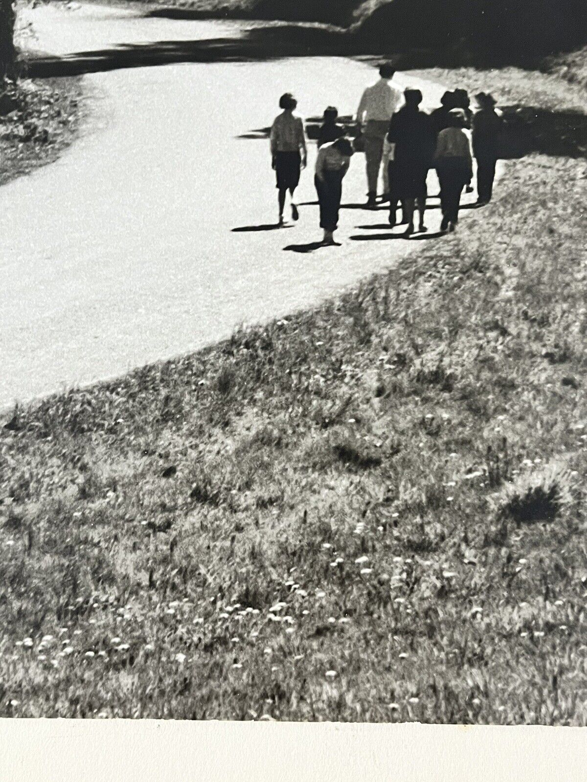 Foto 6 di 12