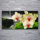 Tulup Tableau sur verre acrylique Image Impression 120x60 Arbres