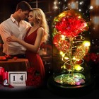 Bild 7 von 7