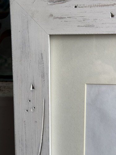 Roger Bollen Creator Of “Animal Crackers” Grandpa Tortoise With Hairpiece Art - Imagen 4 de 7