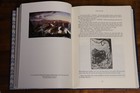 Picture 4 of 11