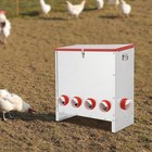 Automatic Floor-standing Chicken Feeder Large Capacity Galvanized Metal 10-Hole