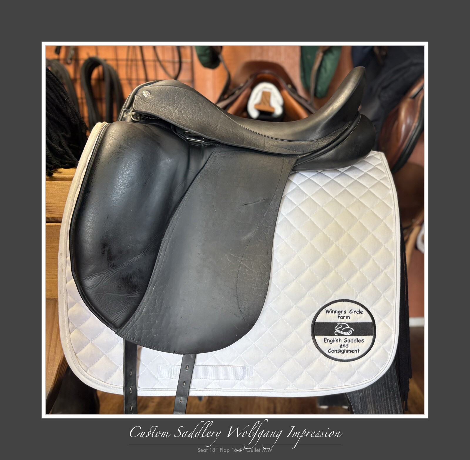 Lawsuit Unveils Environmental Battle Over Framingham Horse Facility 4 Custom Saddlery Wolfgang Impression. 18” Mw
