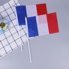 50pcs Hand Held Small France Flag On Stick International Stick