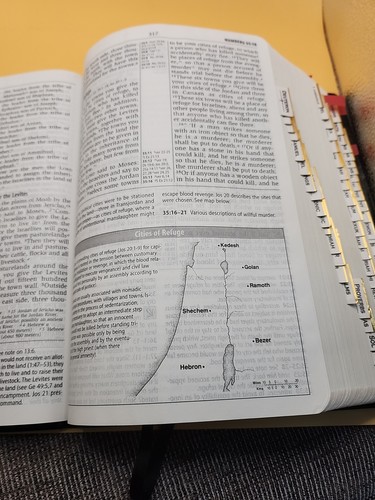 Zondervan Study Bible nouvelle version internationale NIV étude cuir collé 🔥onglet - Photo 13/13