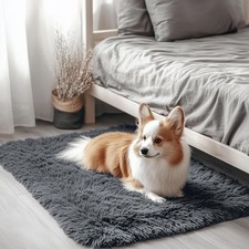 2x3 Machine Washable Small Bedside Rug Soft Fluffy Shaggy Entryway Throw Rugs