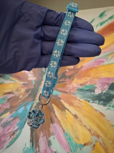 Resin dog tag - Picture 2 of 4