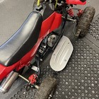 Picture 5 of 11
