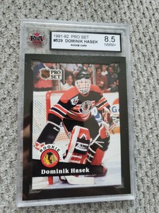 29 Cards 1991 92 Pro Set Chicago Blackhawks Team Set Hasek Rookie Card Rc Sport Trading Cards Com Sammeln Seltenes