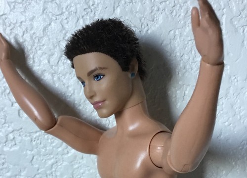 Barbie Fashionistas Ryan Ken 2009 CAPELLI radicati articolati bruna F - Foto 2 di 6