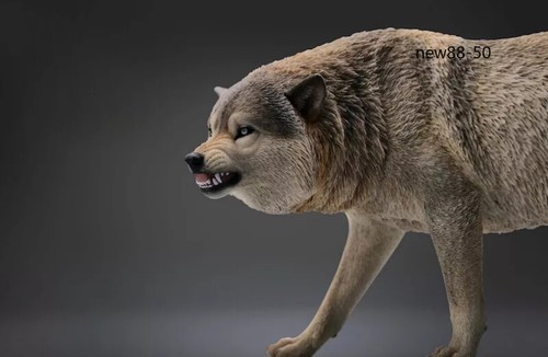 JXK 1/6 graue Wolfsstatue Harz Modell Ausstellungsfigur Zubehör LXF2209C AUF LAGER - Bild 3 von 7