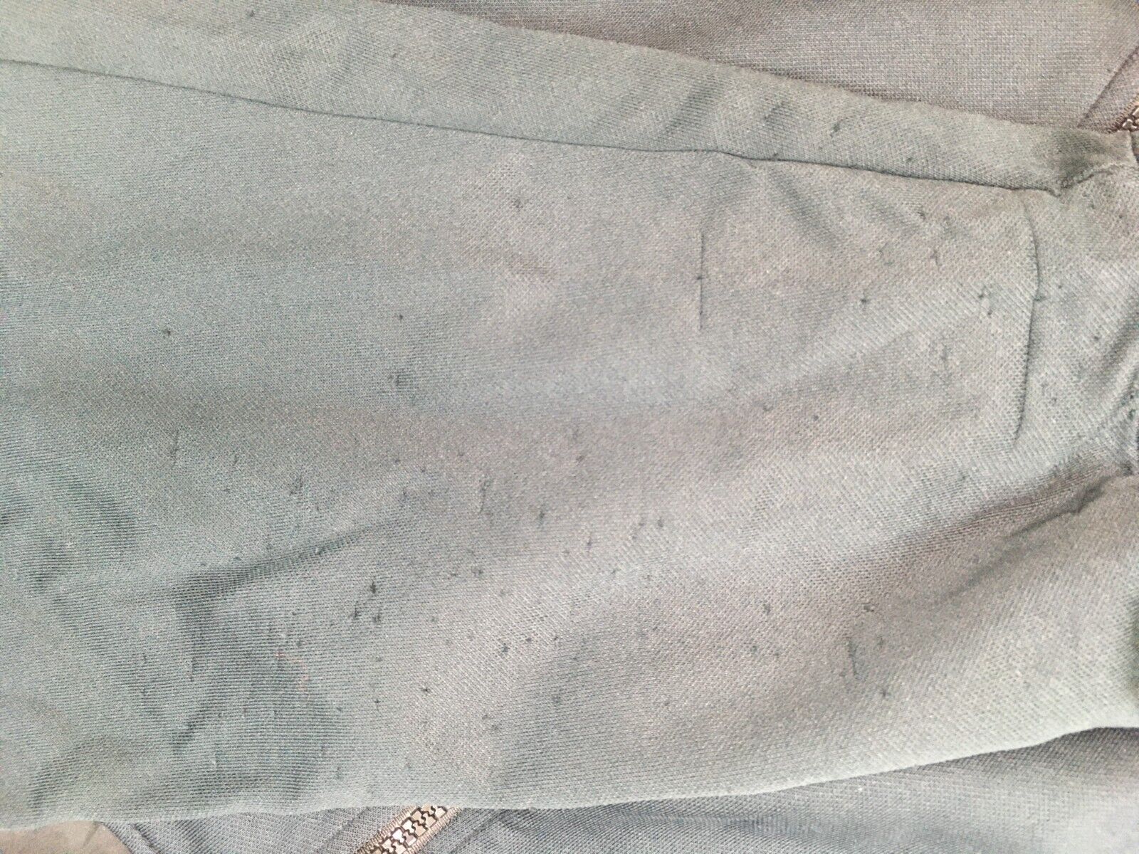 Picture 7 of 12