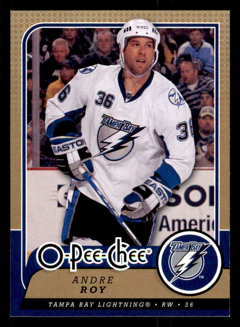 2008-09 O-Pee-Chee #222 Andre Roy Tampa Bay Lightning
