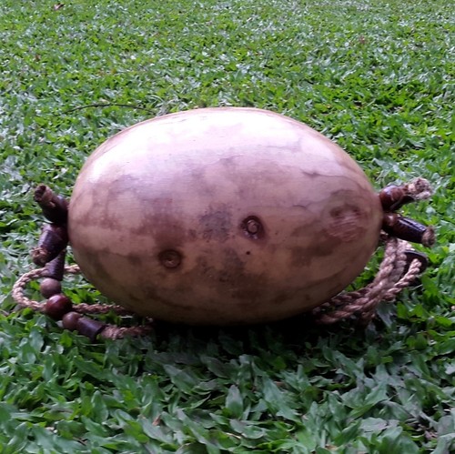 Unique Traditional Indonesian Bag of Fruit Maja (Aegle Marmelos) Large - Imagen 11 de 12