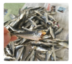 100-Natural-Dried-Salted-Fish-Chinese-Sea-Food