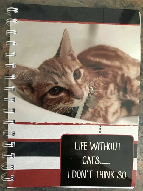 2023-2024 year diary 'Life without cats..i don't think so' gingerA5 WEEK TO VIEW 2023-2024 year diary 'Life without cats..i don't think so' gingerA5 WEEK TO VIEW