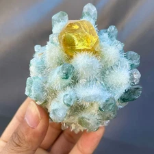 1.21LB New Find Green Phantom Quartz Crystal Cluster Mineral Specimen