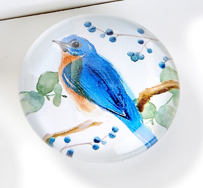 Giftcraft Glass Bird Magnet Bluebird 1 5/8'' Diameter