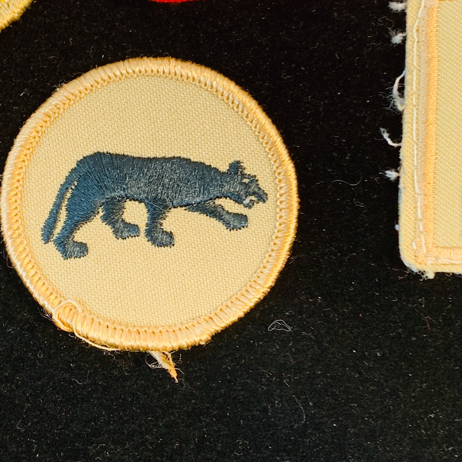 Picture 4 of 12
