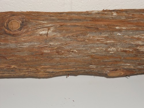 Primitive Rustic Natural Cedar Wood Log Wall Shelf With Bark 24 X 5 Of 9 Primitive Rustic Natural Cedar Wood Log Wall Shelf With Bark 24
