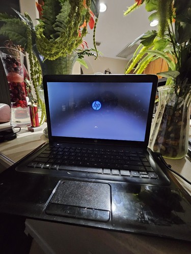 HP 2000 Laptop 15.6” AMD E1 4GB RAM 500GB HDD Windows 10 - Picture 5 of 7