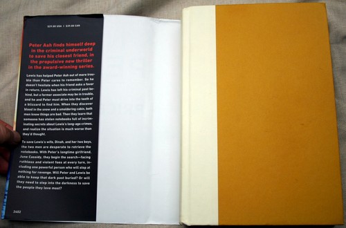 CHOICE Nick Petrie PETER ASH series PTSD action hero urban forest cannabis farms - Bild 30 von 33