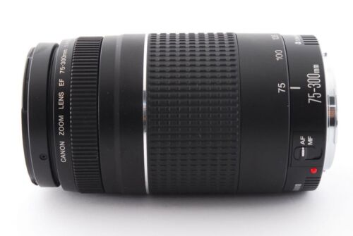 Telephoto Lens Canon Ef 75-300Mm - Picture 5 of 6
