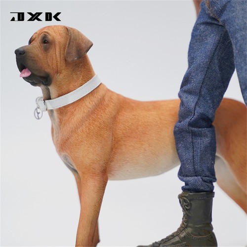 JXK 1/6 Tosa Inu Model Competitive Dog Animal Scene Decoration Accessory Gift - Picture 11 of 17