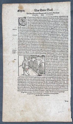 1598 Seb. Munster Antique Print of Brewing Beer & Hanging man in Saxony Germany - Picture 1 of 3