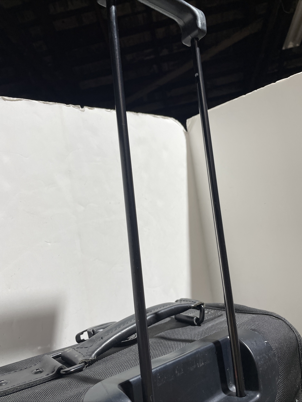 Picture 5 of 19