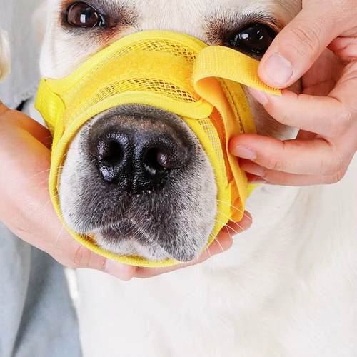 Practical Adjustable ANTI BARKING Dog MUZZLE Breathable Mesh Anti Crowing Design - Bild 2 von 5