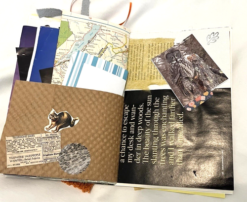 Diario basura Halloween embellecido efímero 9x6” 22+ páginas clip y tarjetas - Imagen 17 de 20