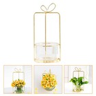  Glass Propagation Vase Hydroponic Vases for Indoor Plants Planting