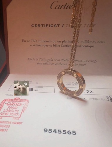 Cartier 18K Pink Gold Diamond LOVE Paved Necklace - Picture 4 of 8