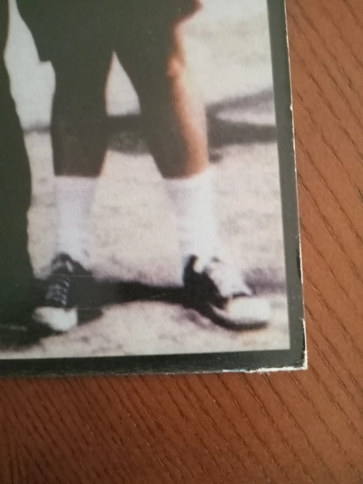 The Vindictives Leave Home LP Selfless Records The Ramones screeching weasel - Image 4 of 4