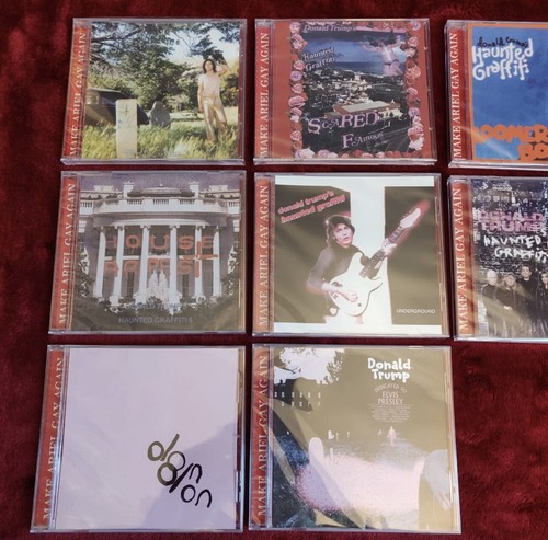 Ariel Pink 10 CD Set MAKE ARIEL GAY AGAIN MAGA Donald Trump Music Brand New - Picture 3 of 7