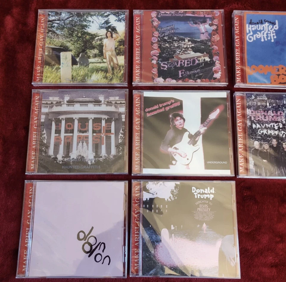 Ariel Pink 10 CD Set MAKE ARIEL GAY AGAIN MAGA Donald Trump Music Brand New - Image 3 of 4
