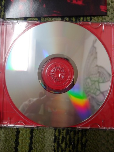 Rare HTF CHASING ELROY Random CD 2005 Fifth Run Records WEFT RADIO PROMO COPY - Imagen 3 de 4