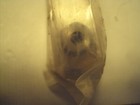 Picture 3 of 3