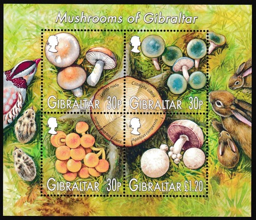 Gibraltar Block 2003 Mushrooms Funghi Pilzen Cetas MNH aXF Z3681 - Picture 5 of 8