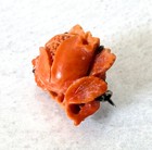 Foto 5 di 8