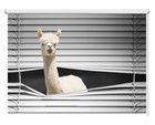 Blackout Roller Blinds Window Shade Peeking Alpaca Printed Animal Theme Kids