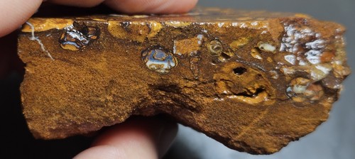 VENTA Conglomerado de ópalo de roca pieza áspera Koroit 530 quilates matriz azul lapidaria - Imagen 8 de 13