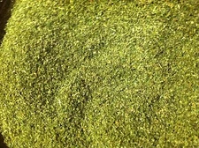 CATNIP BULK FREE SHIPPING, NEW "2026" CROP, DRIED/FRESH/GREEN