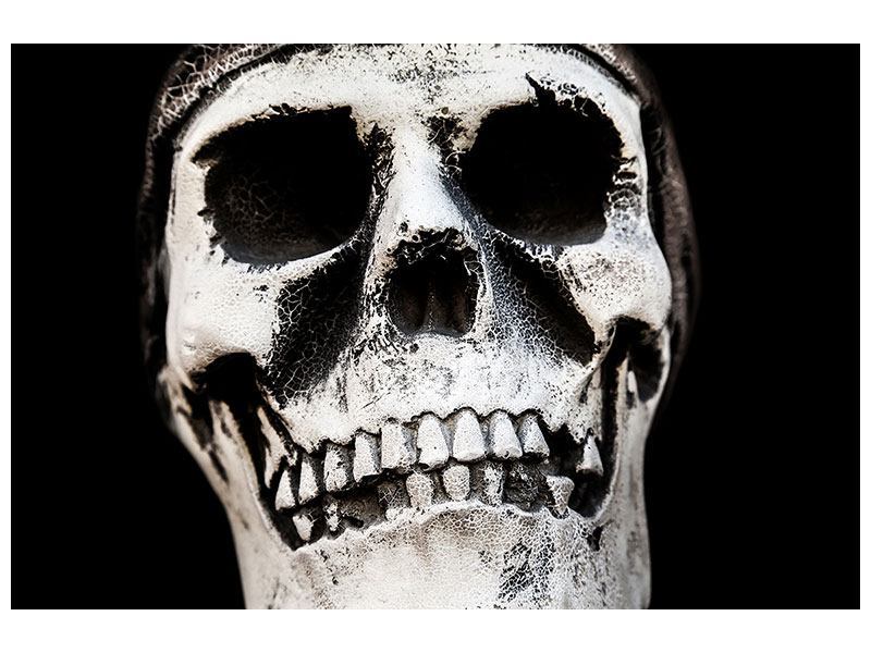 Leinwandbild Skull - 60 x 40 cm Leinwandbild Skull - 60 x 40 cm
