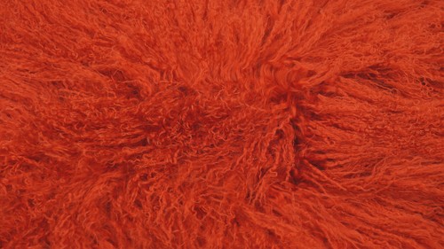 Pelliccia di agnello tibetano vero colore rosso 90 cm pelliccia di agnello riccia riccia agnello mongolo - Foto 4 di 6