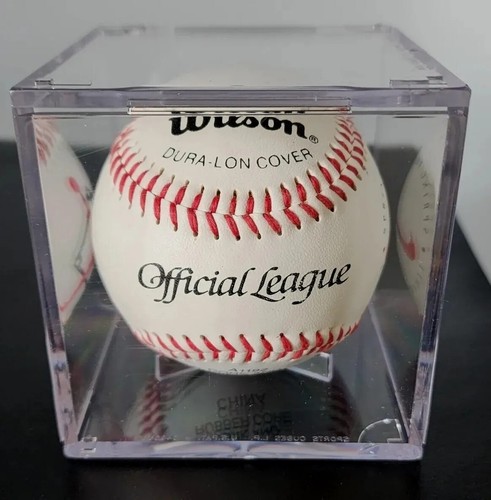 MICHAEL JORDAN AIR NIKE OFFICIAL LEAGUE BASEBALL SPRING TRAINING LIMITED EDITION - Bild 2 von 23