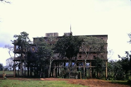 Vintage 35mm Dia Foto Treetops Lodge Hotel Nyeri Kenia Afrika 1960er